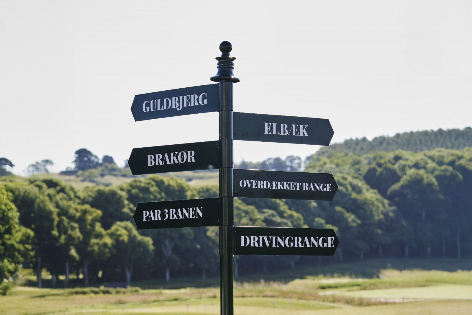 Business Club program 2026